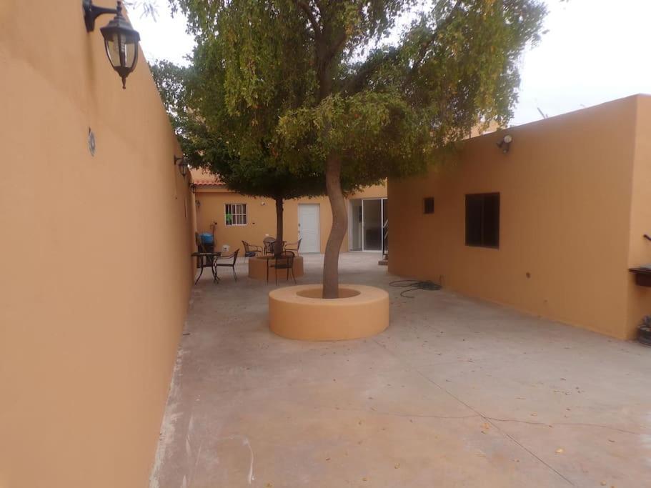 Apartamento 12 Con Dos Camas , A 200 Mts Del Vado Del Rio , Cerca Del Centro De Gobierno , Internet De Alta Velocidad Hermosillo Dış mekan fotoğraf
